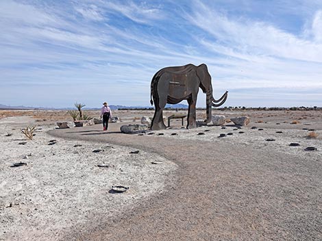 Megafauna Trail