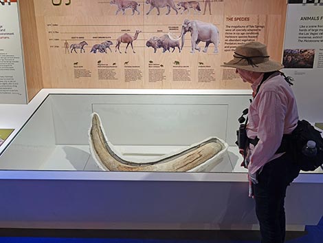 Ice Age Fossils State Park Visitor Center