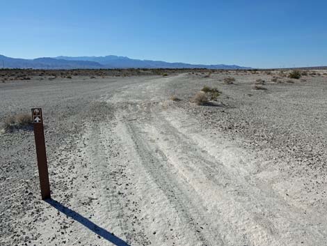 Aliente Loop Trail