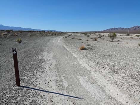 Aliente Loop Trail