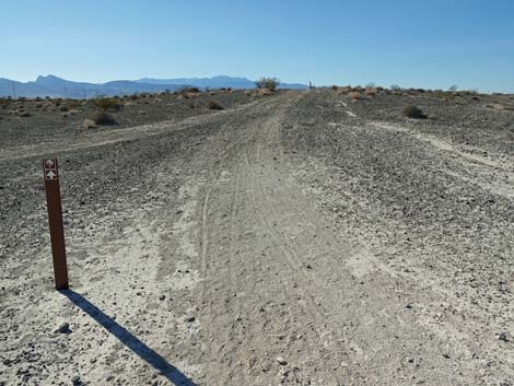 Aliente Loop Trail