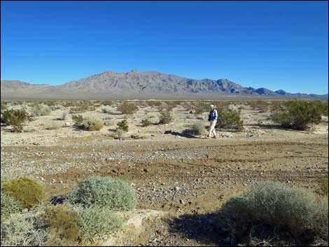 Tule Springs National Monument