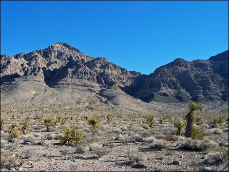 Big Arrow Peak