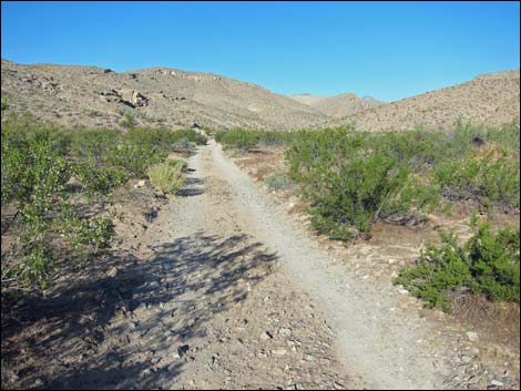 Arrow Canyon Access Road