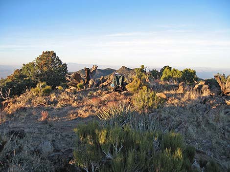 McCullough Mountain Washes Route