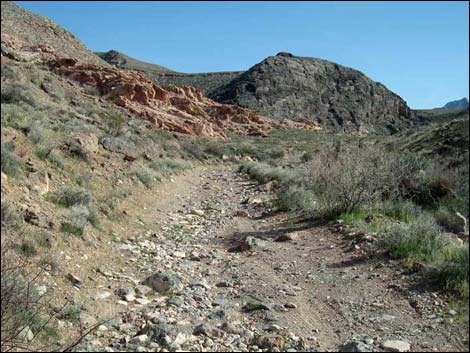 Colorock Quarry Road