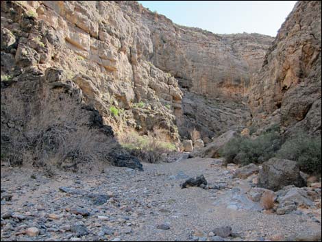 Colorock Canyon Loop