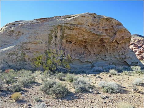 Colorock Canyon Loop