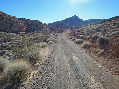 Colorock Quarry Road