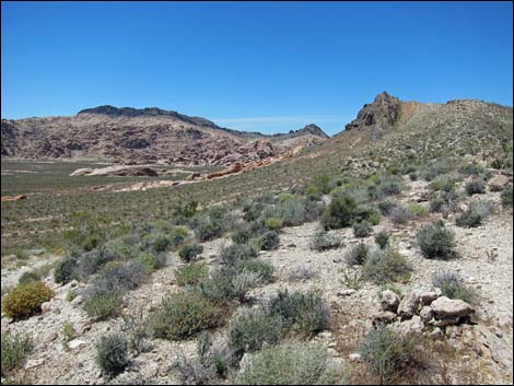 Hidden Valley East Trail