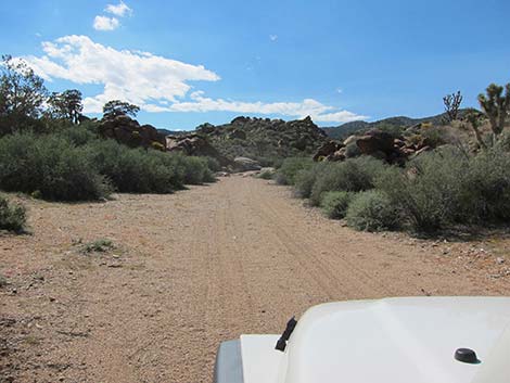 Pine Spring Road, South Fork