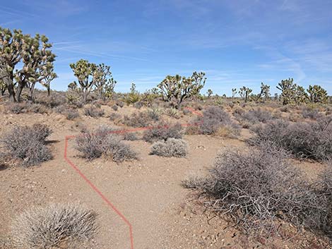 Spirit of Wilderness Trail