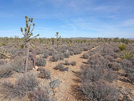 El Dorado Wagon Road Trail