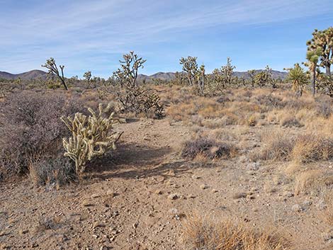 El Dorado Wagon Road Trail