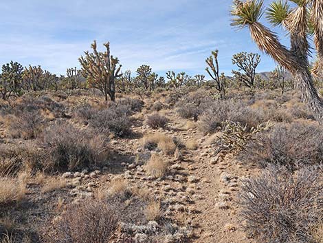 El Dorado Wagon Road Trail