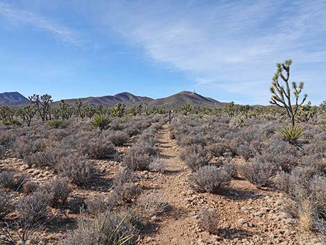 El Dorado Wagon Road Trail