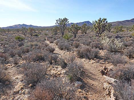 El Dorado Wagon Road Trail