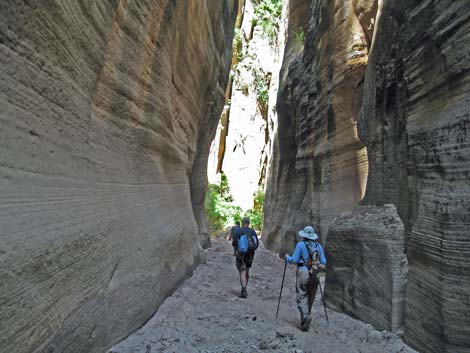 Orderville Canyon