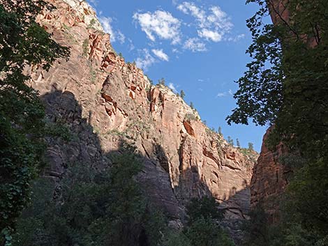 Riverside Walk Trail