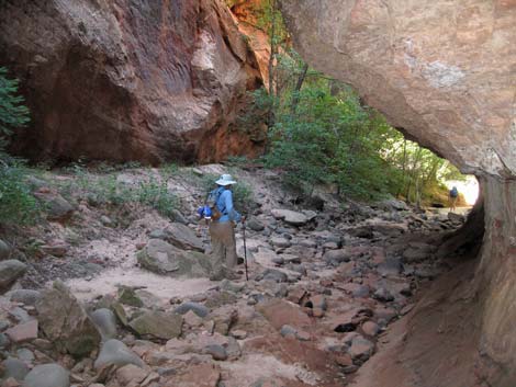 Zion Subway