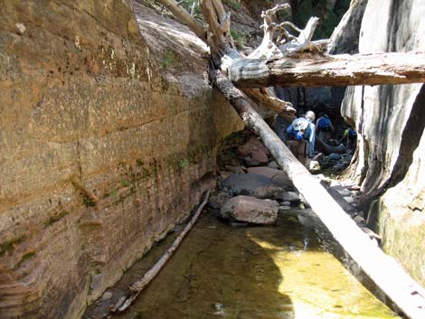 Zion Subway