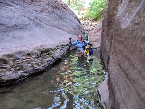 Zion Subway