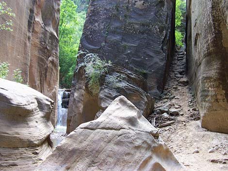 Zion Virgin River Narrows