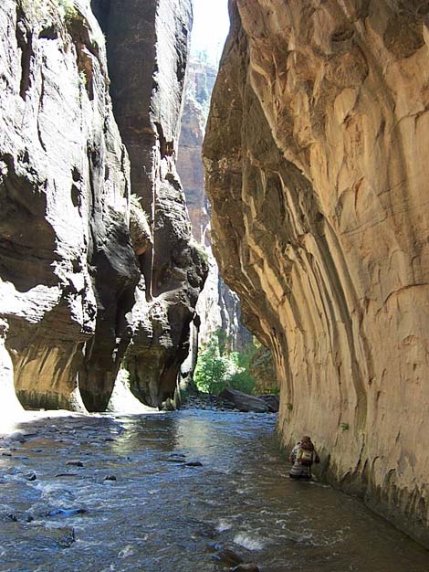 Zion Virgin River Narrows