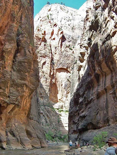 Zion Virgin River Narrows