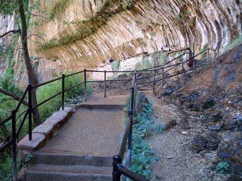 Weeping Rock Trail