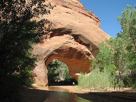 Coyote Gulch