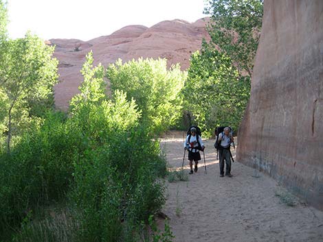 coyote gulch