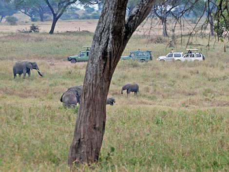 Tanzania