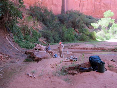 Coyote Gulch