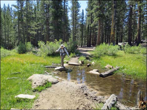 John Muir Trail