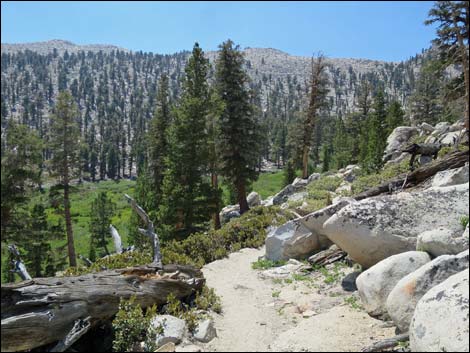 John Muir Trail