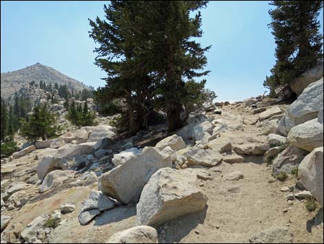 John Muir Trail