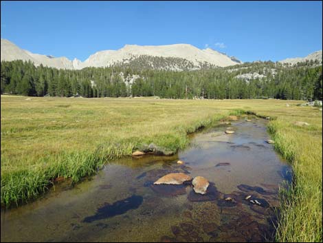 John Muir Trail