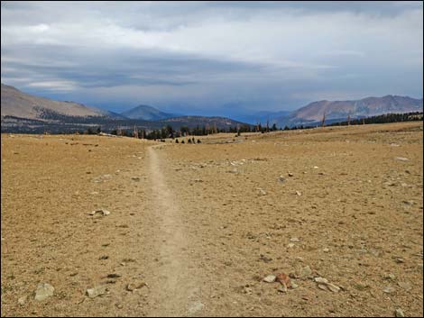 John Muir Trail