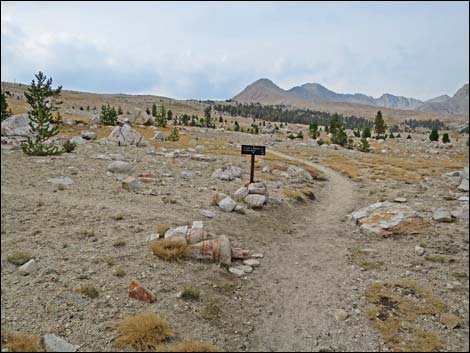 John Muir Trail