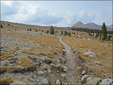 John Muir Trail