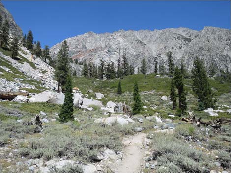 John Muir Trail