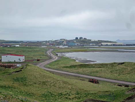 St. Paul, Pribilof Islands