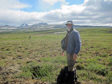 Denali birding