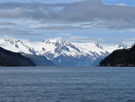 Seward birding