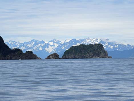 Seward birding