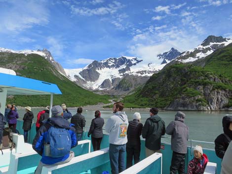 Seward birding