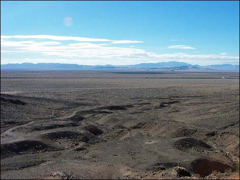 Cadiz Trilobite Quarry