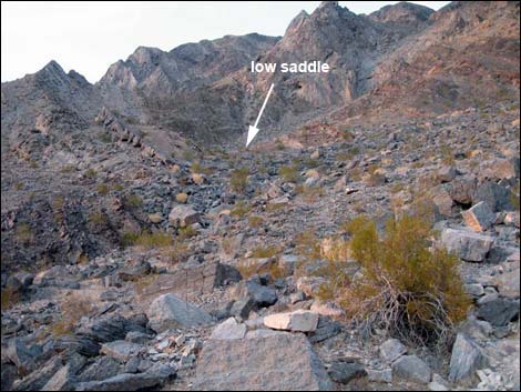 Chambless Trilobite Quarry