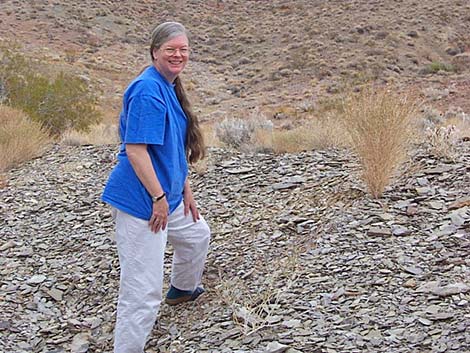 Nopah Trilobite Quarry